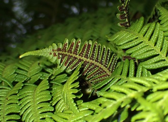 PA120313a.jpg